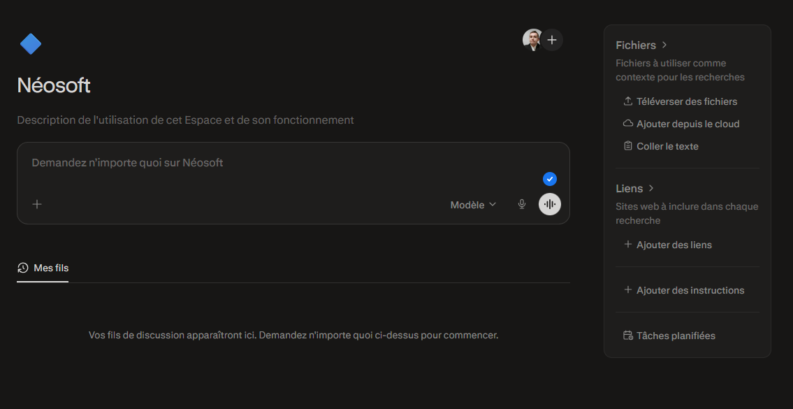 Capture Perplexity 6